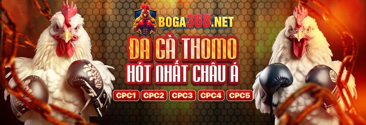 Sàn đấu đá gà trực tuyến nohu52 với khán đài sôi động và ánh đèn rực rỡ